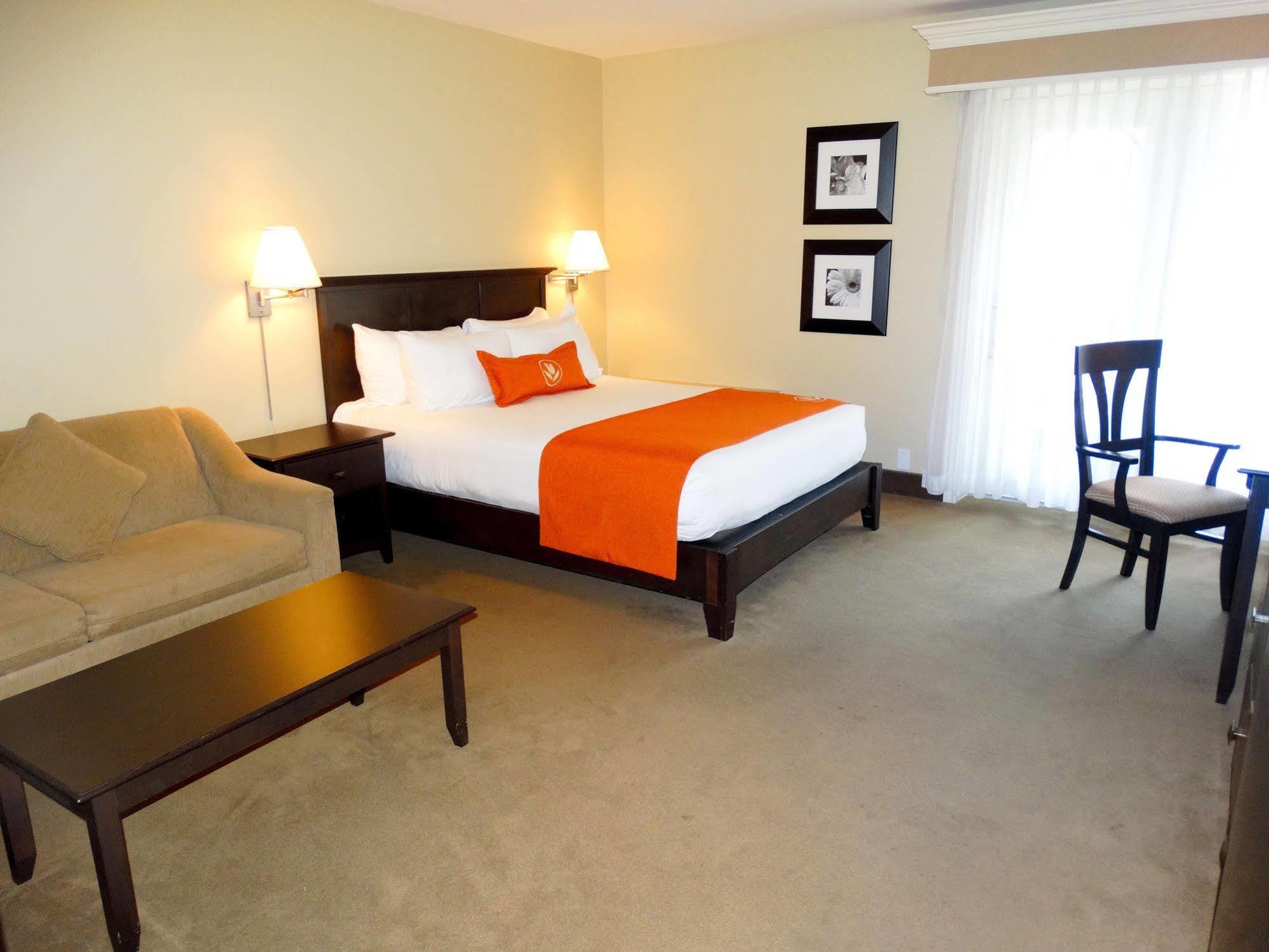 Amsterdam Inn & Suites Сассекс Экстерьер фото